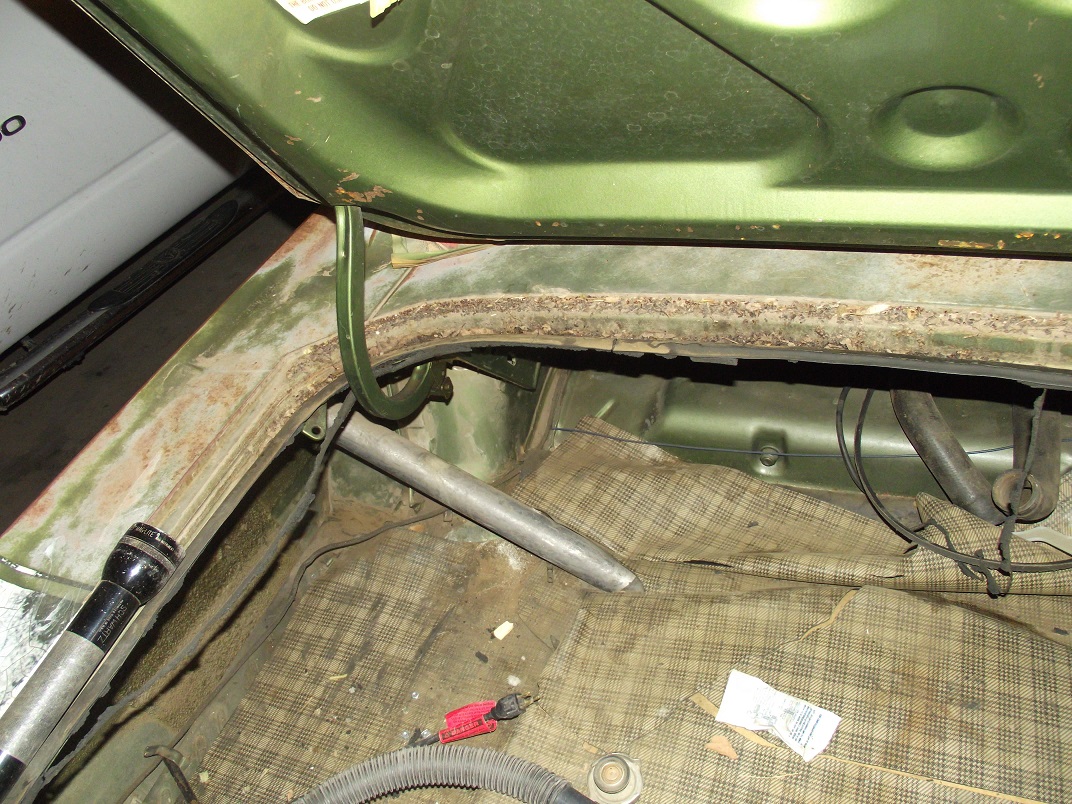 Attached picture trunk.jpg