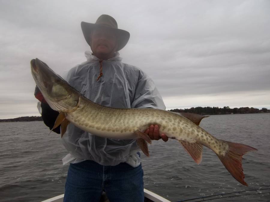 Attached picture MUSKIE.jpg