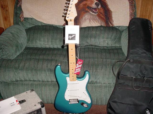 Attached picture Fender2.JPG