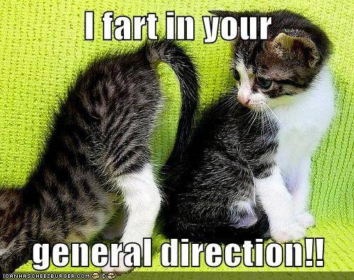 Attached picture i-fart-in-your-general-direction.jpeg