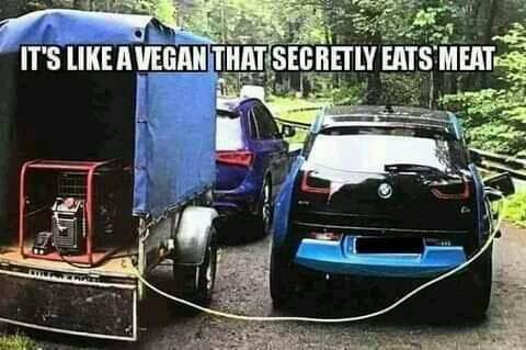 Attached picture Vegan.jpg