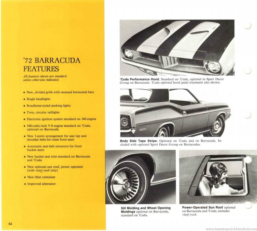 Attached picture 72_Barracuda_2.jpg