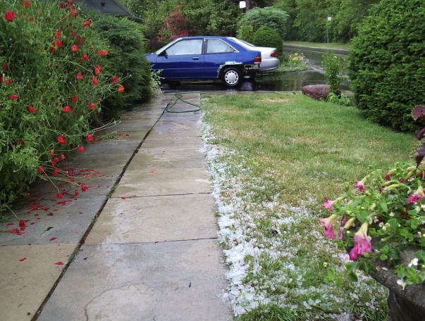 Attached picture 2734597-hailstorm.JPG