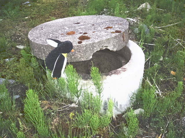 Attached picture 5407700-septic_penguin.JPG