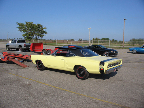 Attached picture 5530996-PURESTOCKDRAGSA12SUPERBEE2.jpg