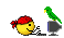 Attached picture 5656158-5382203-pirateparrot.gif