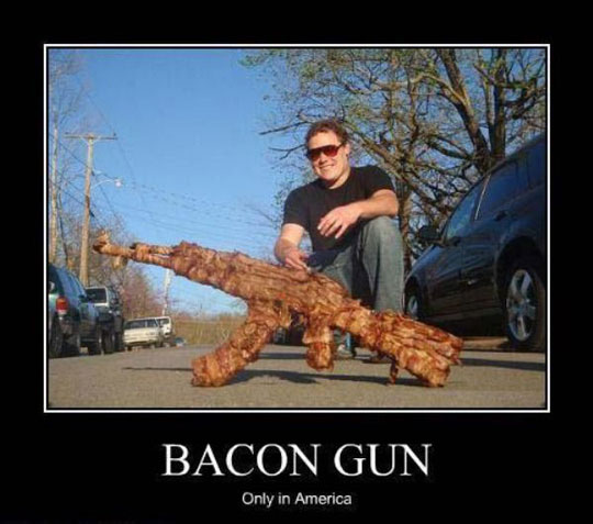 Attached picture 6444049-bacon-gun.jpg