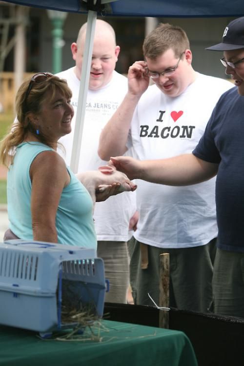 Attached picture 6463094-bacon-tshirt.jpg