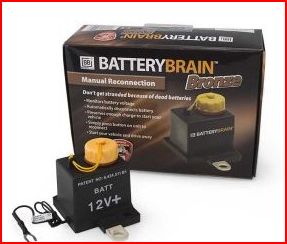 Attached picture 6463693-batterybrain.JPG