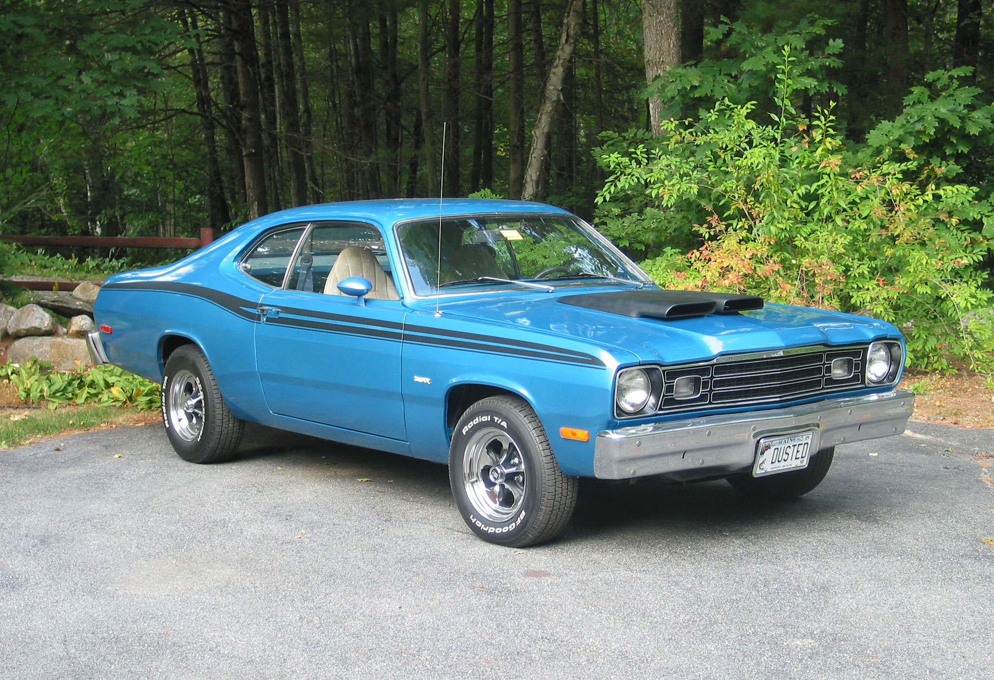 Attached picture 6483018-Duster.JPG