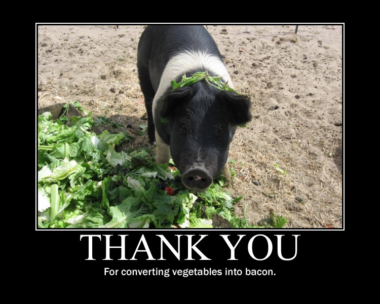 Attached picture 6558094-vegs-to-bacon.jpg