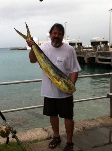 Attached picture 6610602-Mahi01May2011.jpg