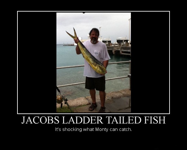 Attached picture 6610699-fishy.jpg