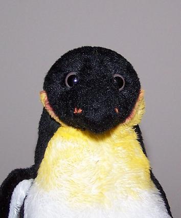 Attached picture 6793510-pengshock.JPG
