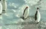 Attached picture 7021228-OzPenguin.gif