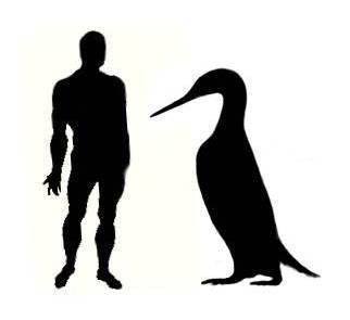 Attached picture 7157741-Giant_Penguin.jpg