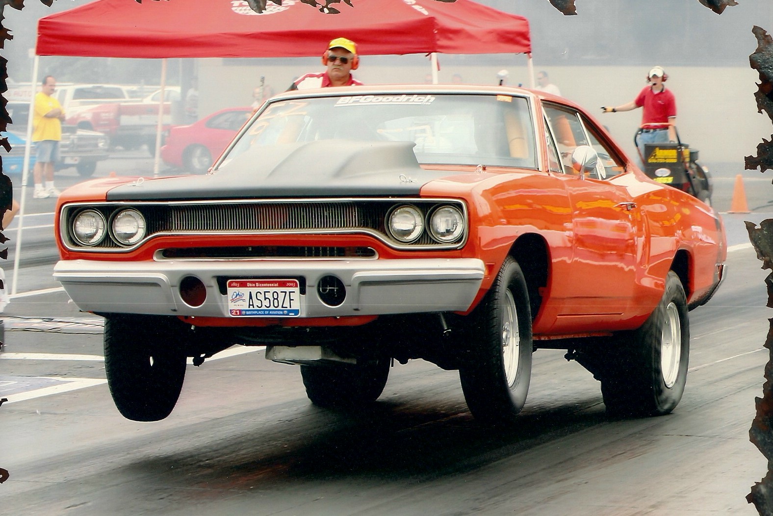 Attached picture 7371141-Chapman'ssuperbee.jpg