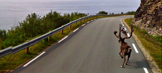Attached picture 7436844-funny-google-street-view-photos-thumb640.jpg