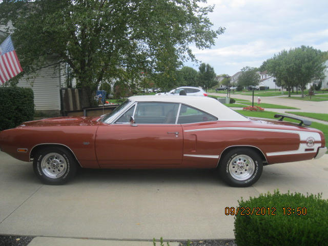 Attached picture 7662624-SuperBee-2012002.JPG
