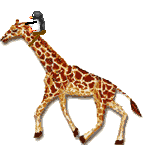 Attached picture 7701174-Giraffe.gif