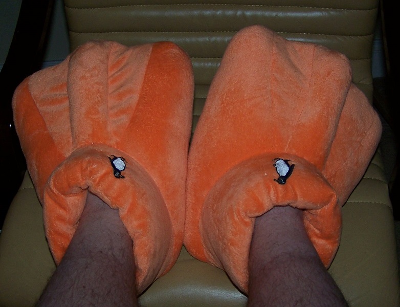 Attached picture 7720459-slippers.jpg