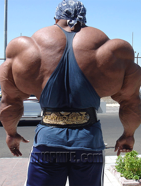 Attached picture 7756889-body_builder_6sfw.gif