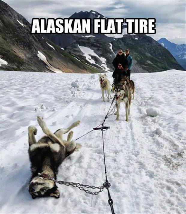 Attached picture 7840164-Alaskan-flat-tire.jpg