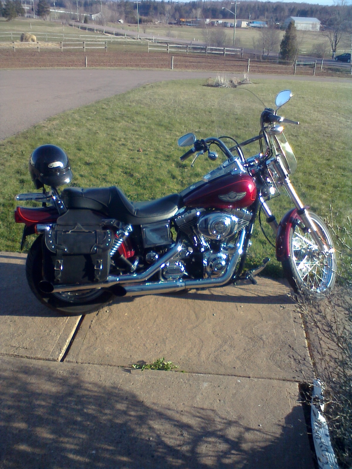 Attached picture 7880164-harley1.jpg