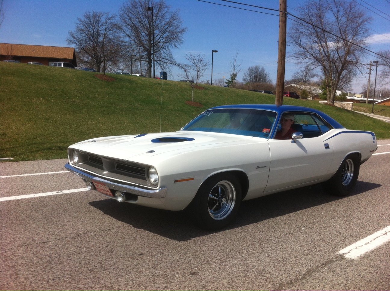 Attached picture 8168031-Barracuda-Amy2014.jpg