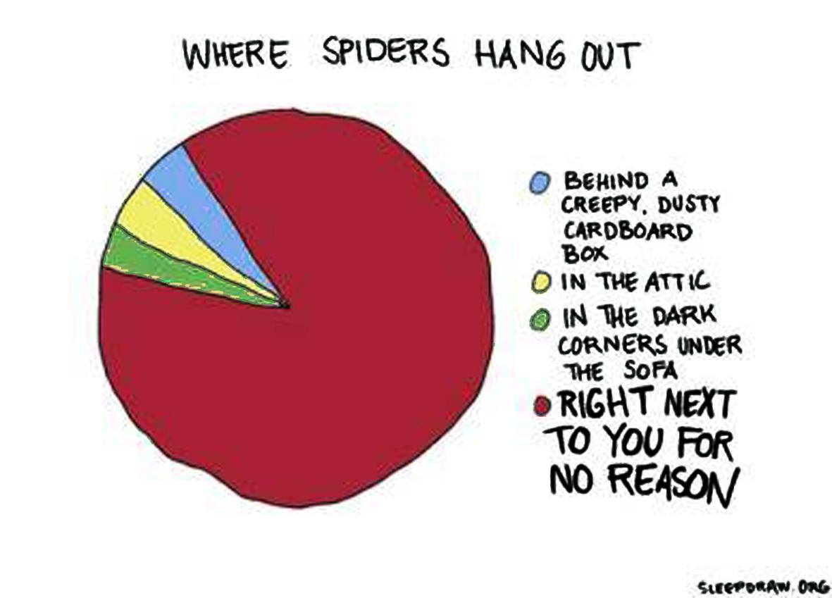 Attached picture 8186110-spiderchart.jpg
