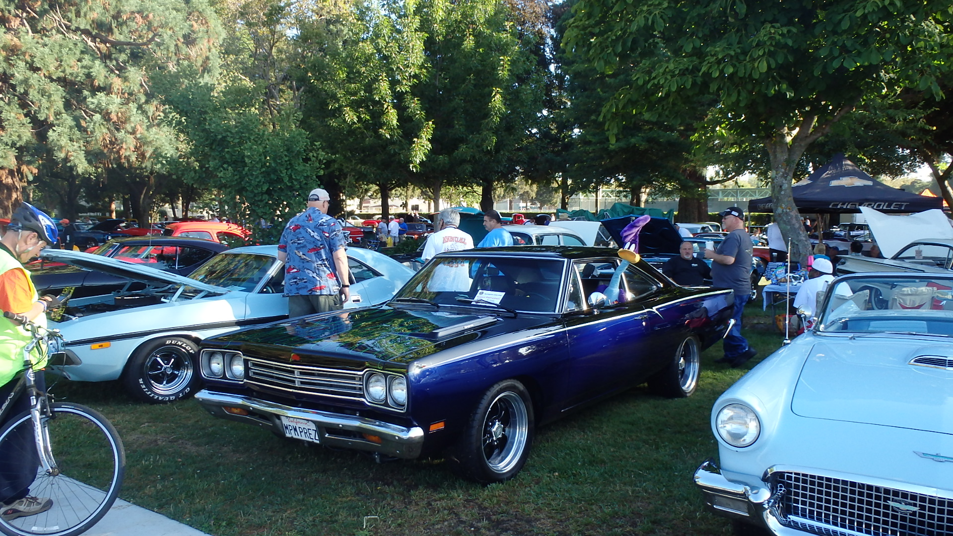 Attached picture 8220611-CarsinthePark2014019.JPG