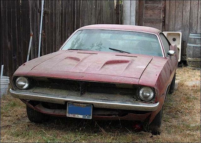 Attached picture 8285258-Barracuda-1-640x457.jpg