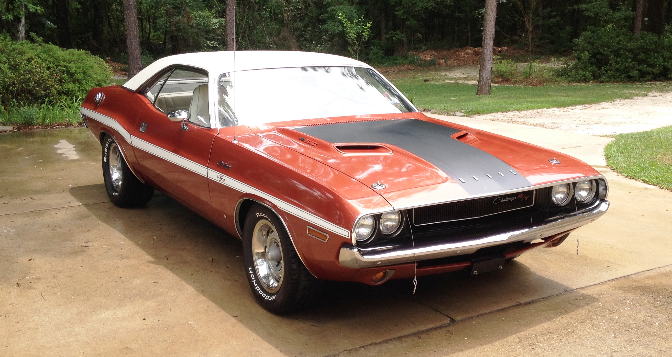 Attached picture 8348812-Challenger.jpg